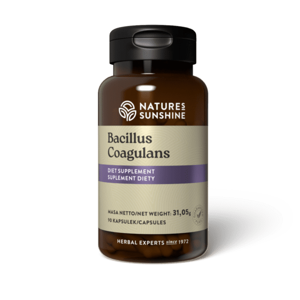Bacillus Coagulans (90 kaps.) Nature's Sunshine NSP