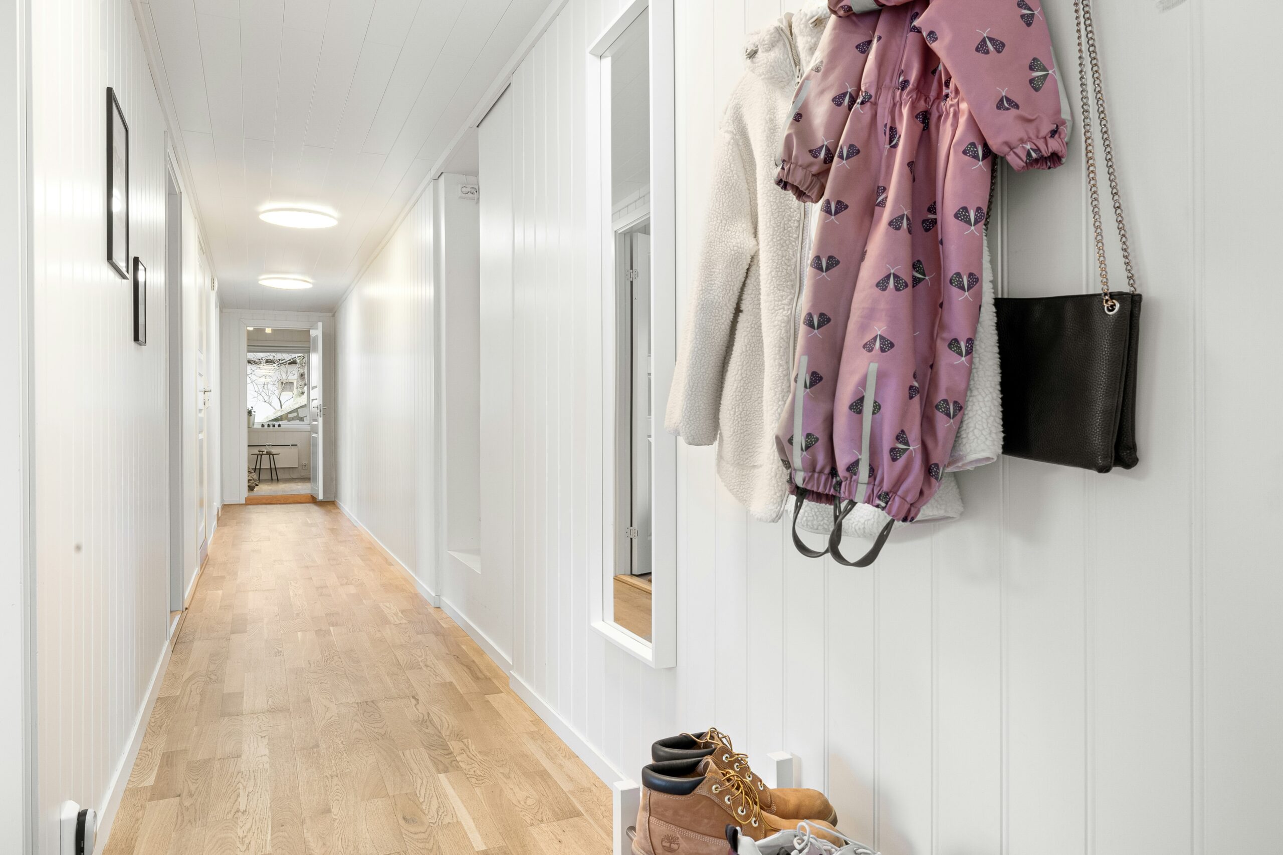 5 växtbaserade kosttillskott för bättre hälsa